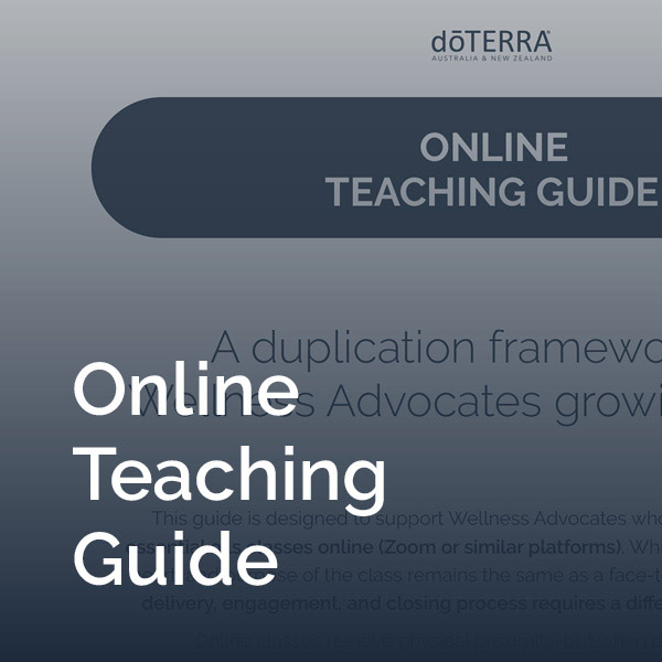 Online Teaching Guide