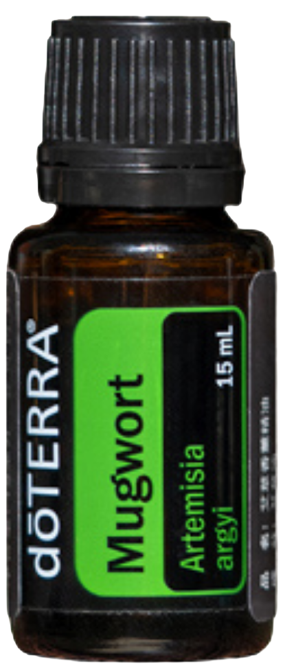 Mugwort