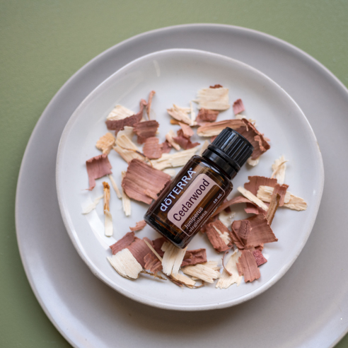 Bottle of Cedarwood essential oil, cedarwood tree shavings, glass dishes. The soothing nature of Cedarwood oil makes it useful for promoting relaxation and calming the skin.