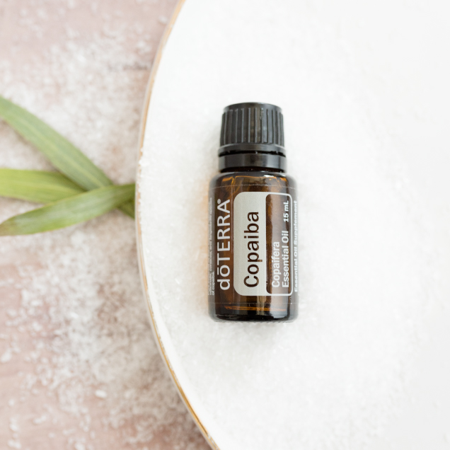 Bottle of Copaiba oil on a white plate. What are the benefits of Copaiba oil? Keep reading to learn more about the uses and benefits of this powerful essential oil.