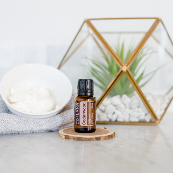 Cedarwood oil bottle. Skincare cream. Green plant. What are the benefits of Cedarwood essential oil? Cedarwood oil is useful for skin, massage, and creating a relaxing environment.