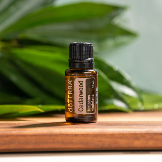 What Is Cedarwood Essential Oil Good For