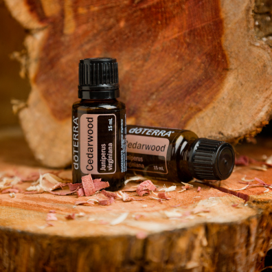 Cedarwood essential oil bottles. Cedarwood tree logs. How do I use Cedarwood oil? Cedarwood essential oil is useful for massage, skin care, repelling moths, and calming the emotions.