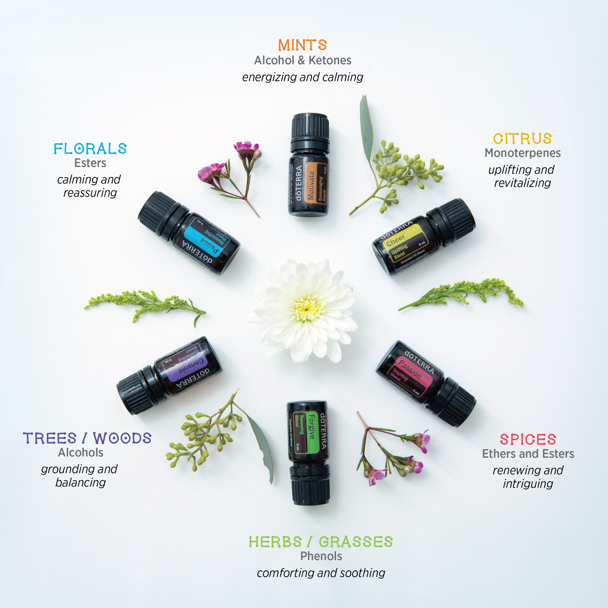 doterra aroma