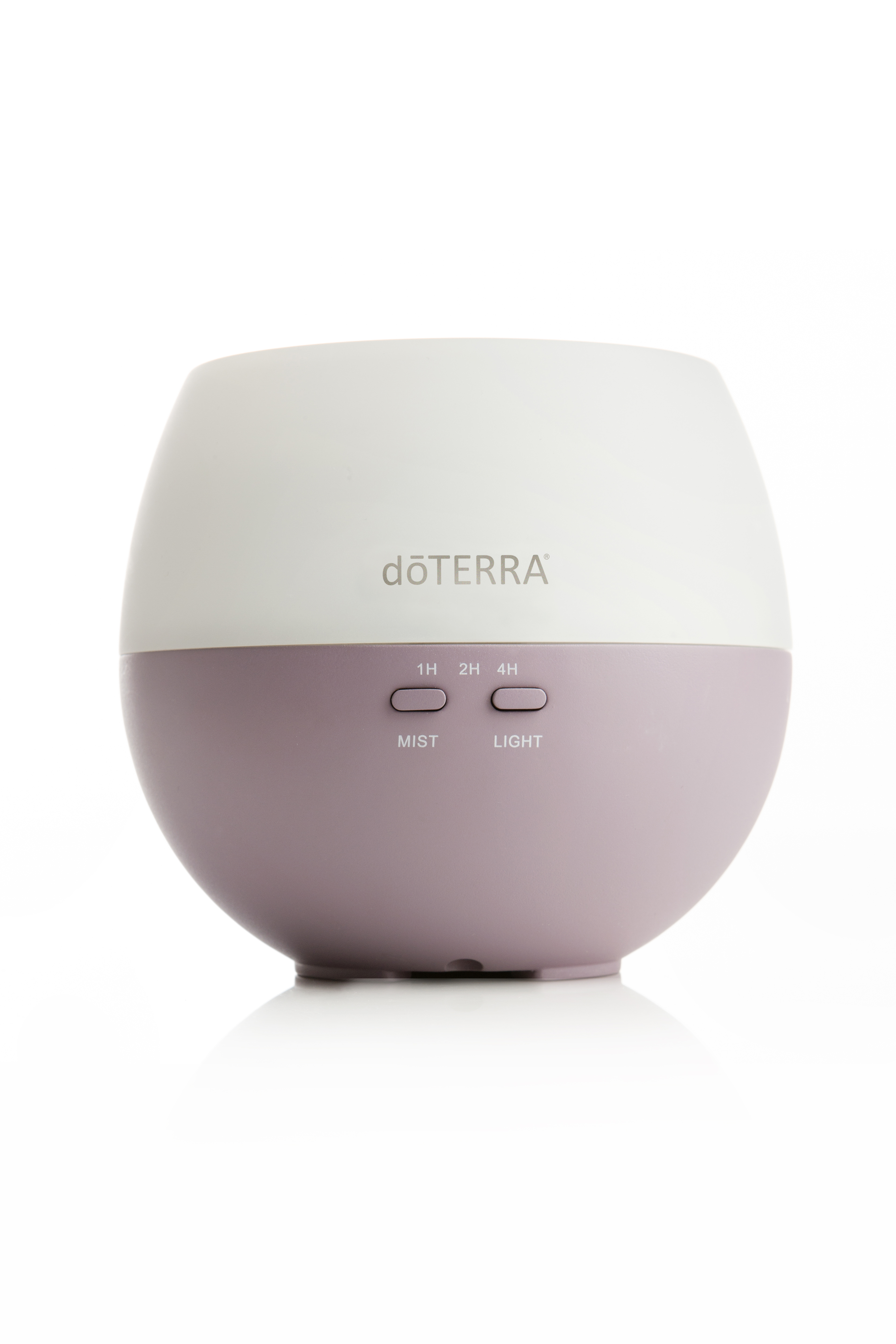 petal chat We’re available by phone or chat weekdays from 8am–11pm et and weekends 8am–9pm et dream and sugar tea set in petal. petal chat We’re available by phone or chat weekdays from 8am–11pm et and weekends 8am–9pm et dream and sugar tea set in petal.