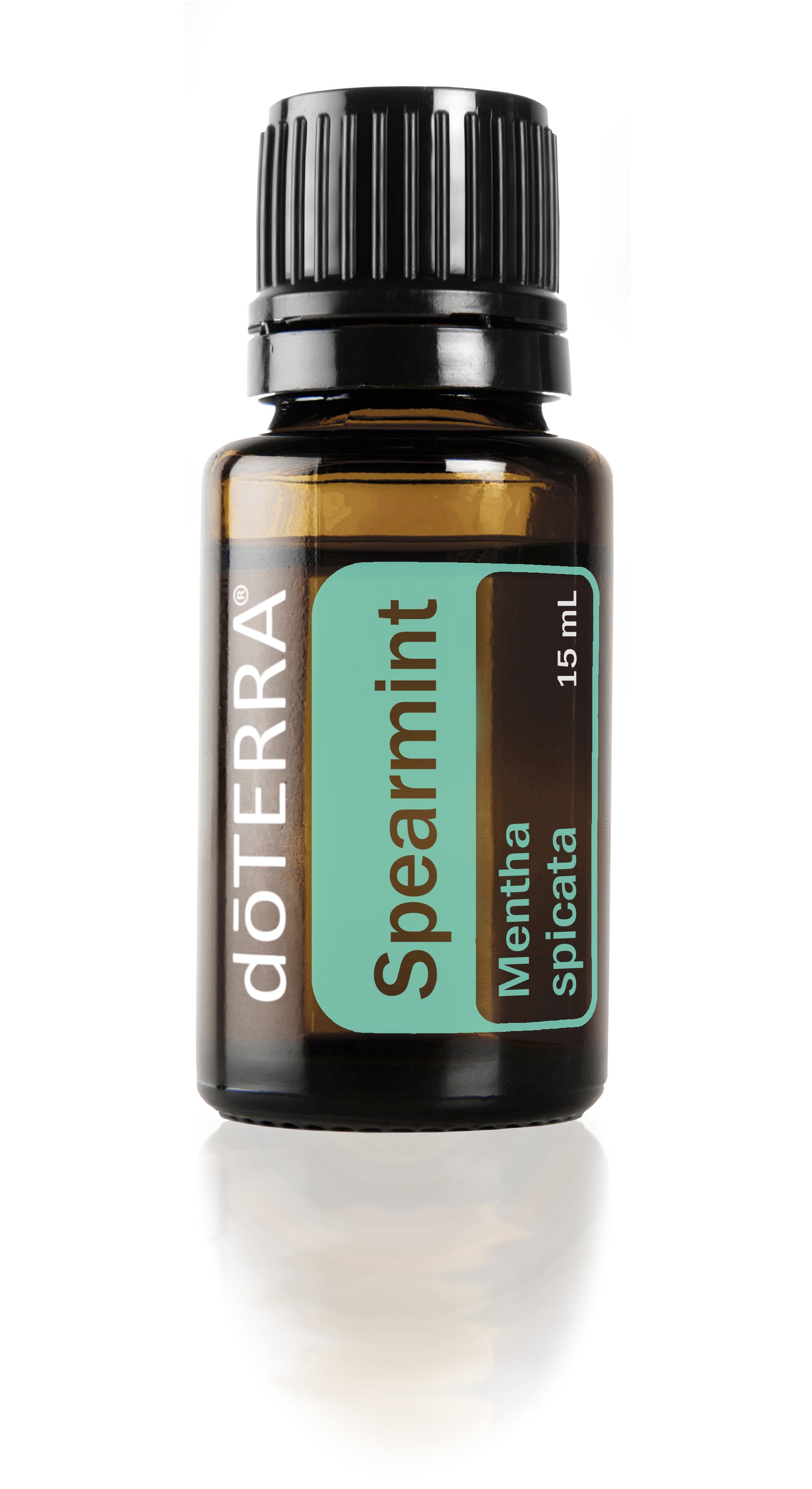 Spearmint Essential Oil 🆕