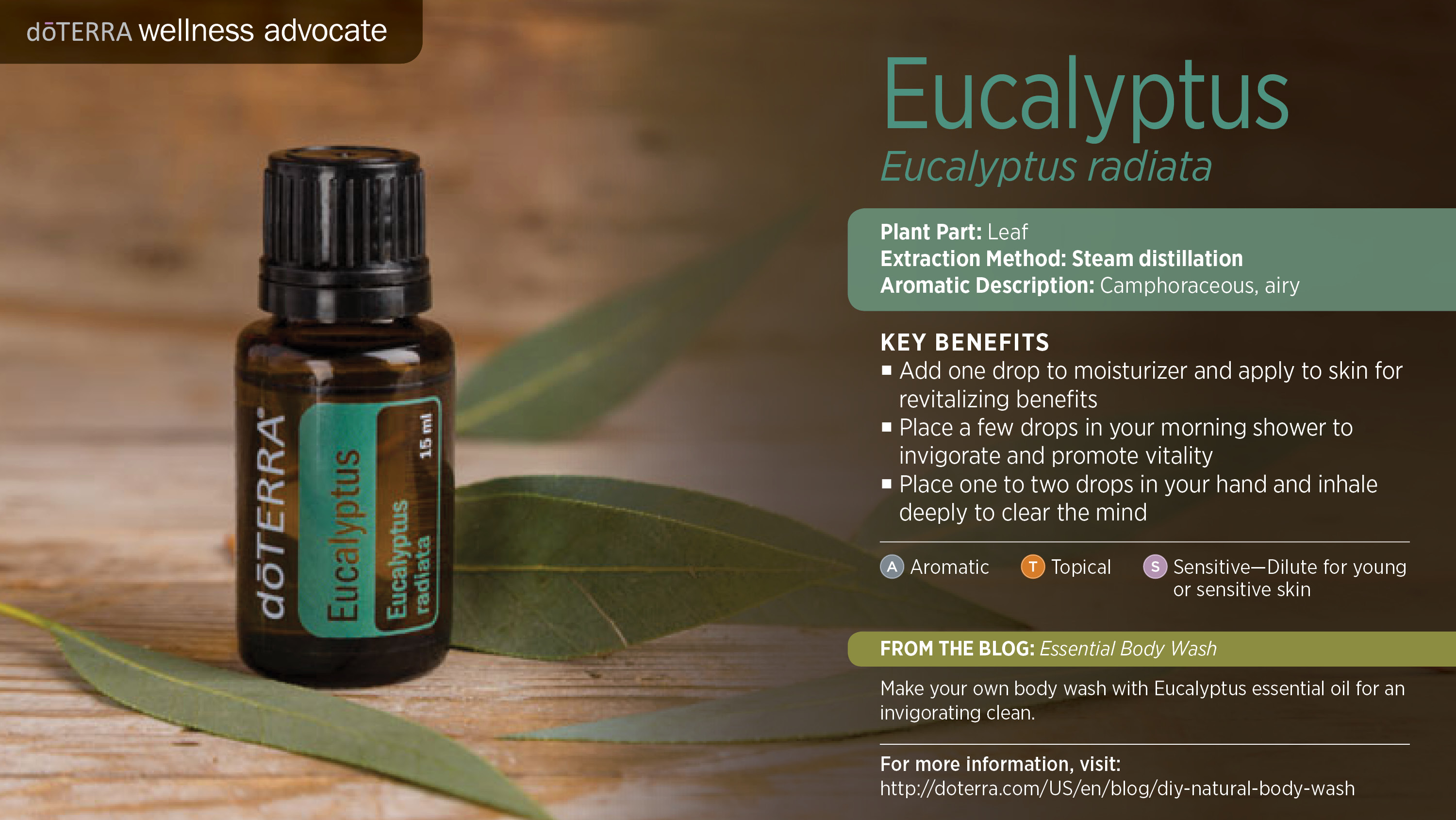 eucalyptus-oil-d-terra-essential-oils