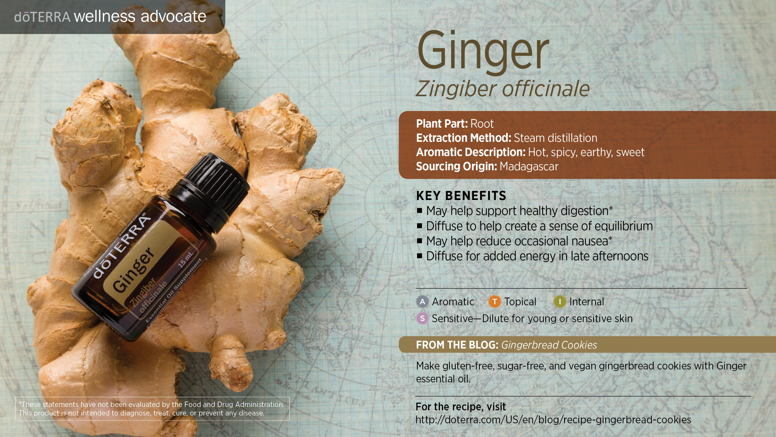 diy-ginger-oil-for-hair-growth-ginger-coconut-oil-for-hair-growth