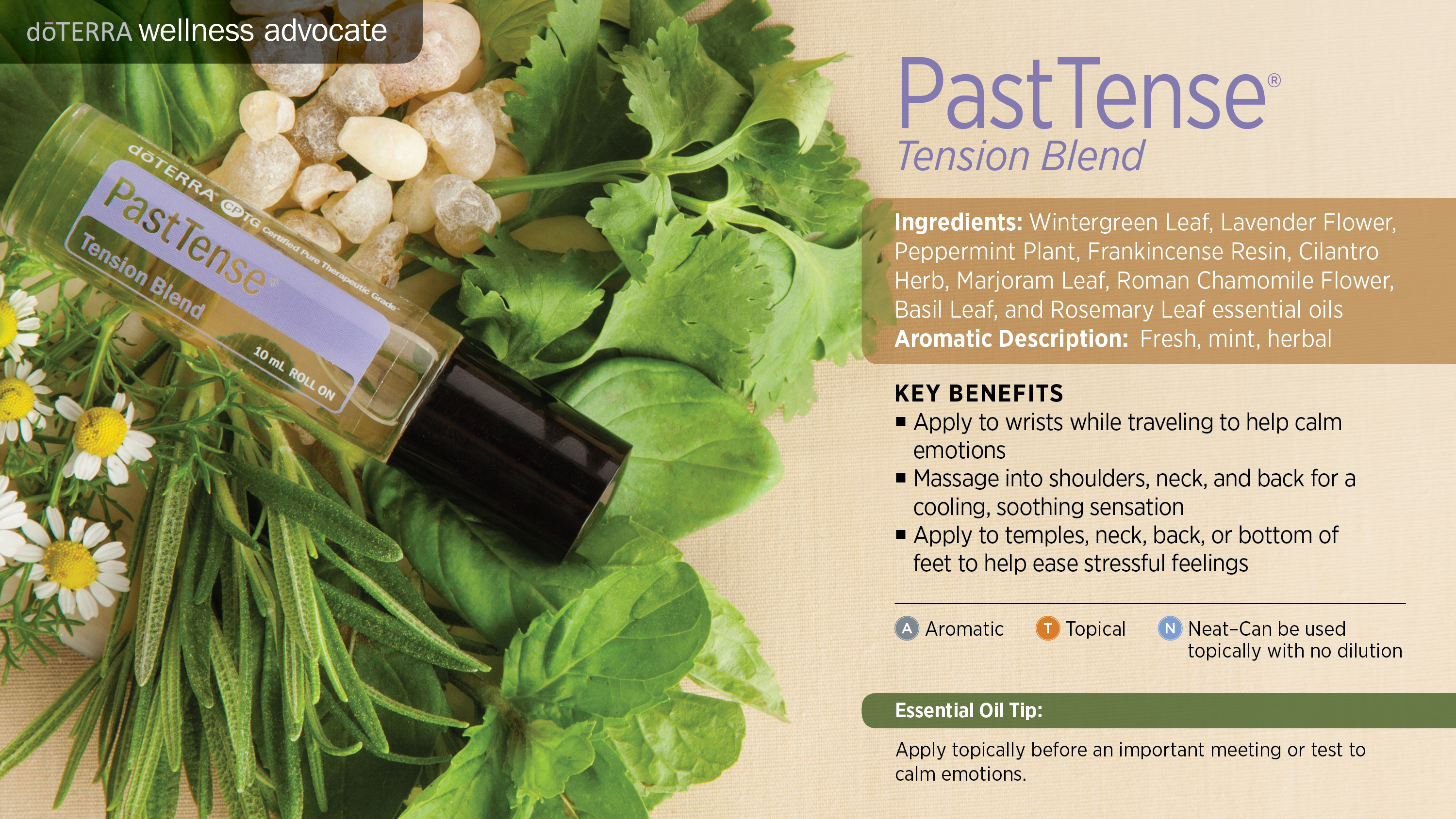doTERRA PastTense Oil Blend - Both Roots and Wings