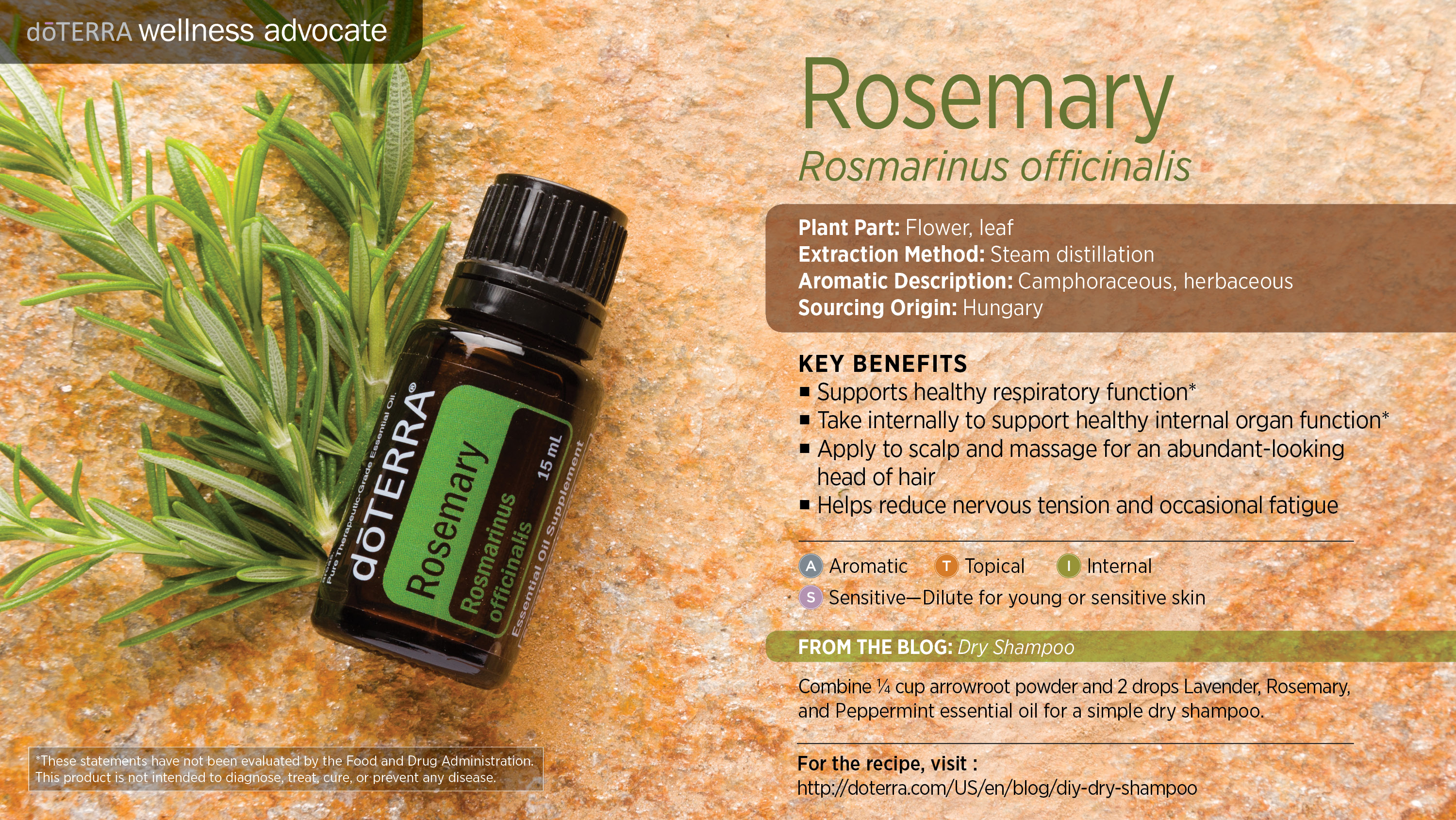 Rosemary Oil D TERRA Essential Oils