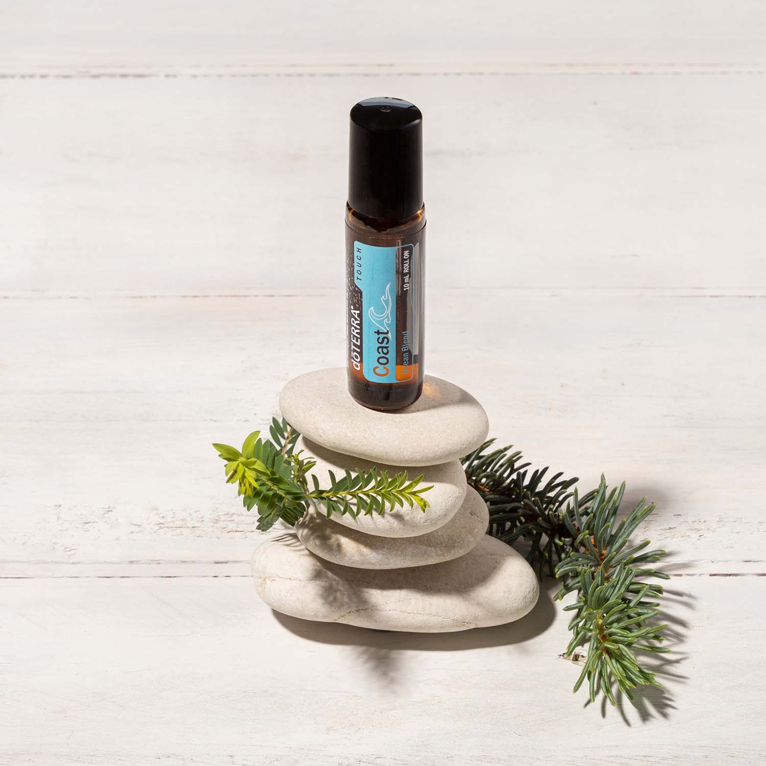 Doterra 2022 Christmas Catalog Christmas 2021 | Dōterra Essential Oils