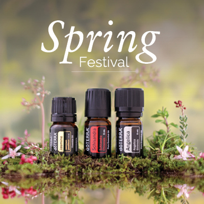 Spring Festival