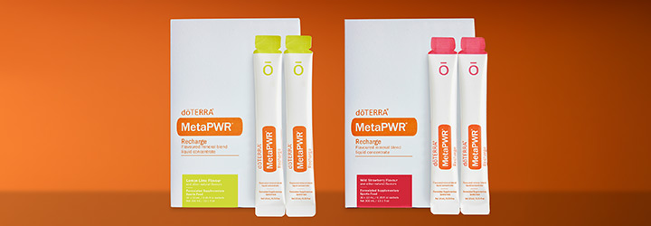 MetaPWR Kit