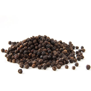 Black Pepper Botanical