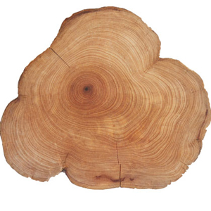 Cedarwood Botanical