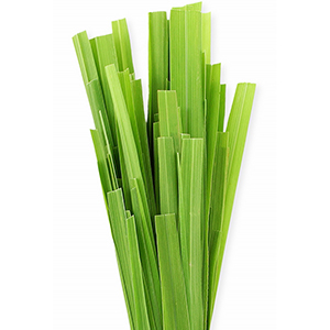 Citronella Botanical