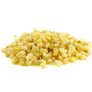 Frankincense Botanical