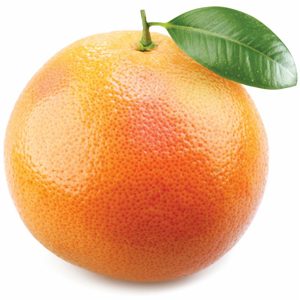 Grapefruit Botanical