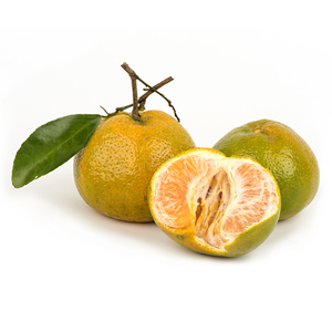 Green Mandarin Botanical