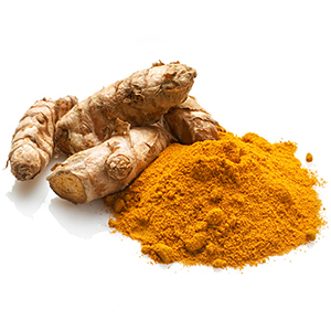 Turmeric Botanical