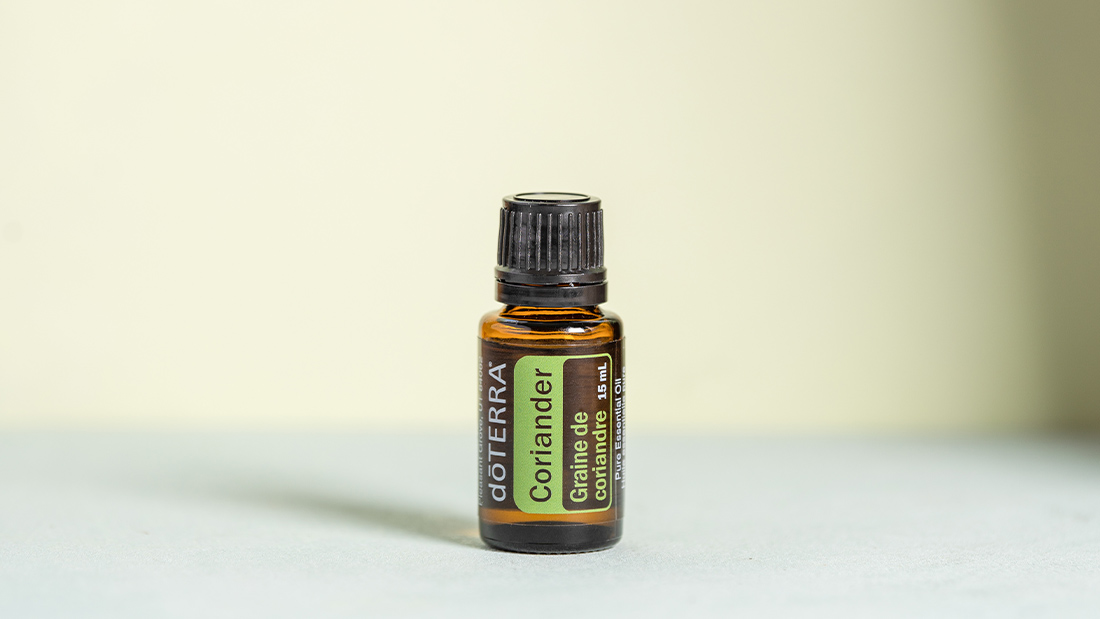 Coriandre graine (Coriandrum sativum) huile essentielle
