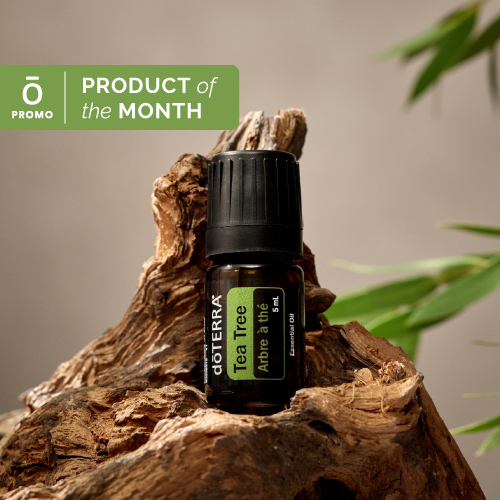Tea Tree