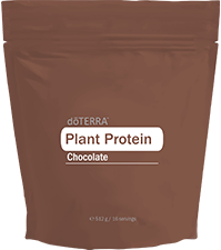 Chocolate
        Plant Protein