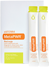 MetaPWR Recharge