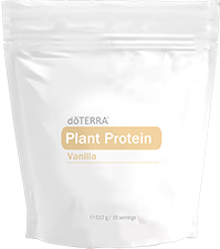 Vanilla
          Plant Protein