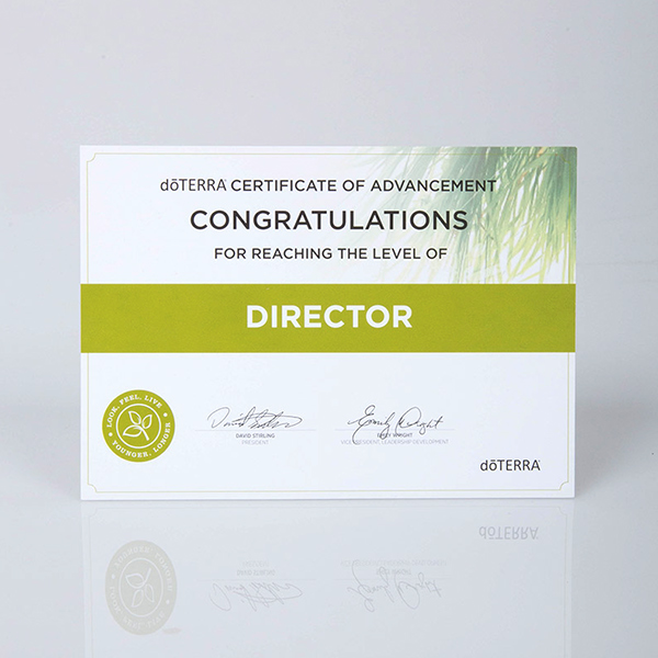 Director Certificate