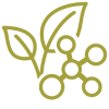 VMG+ - plant and chemical structure icon