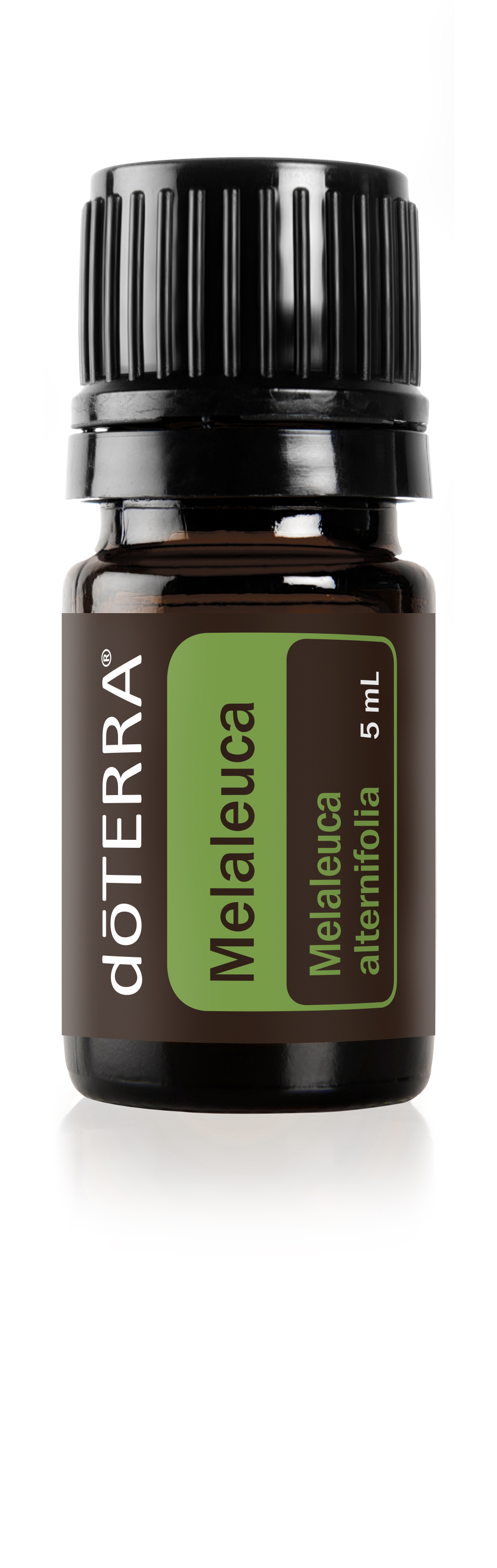 Tea Tree (Árbol de Té) | Melaleuca Oil | Aceites esenciales dōTERRA