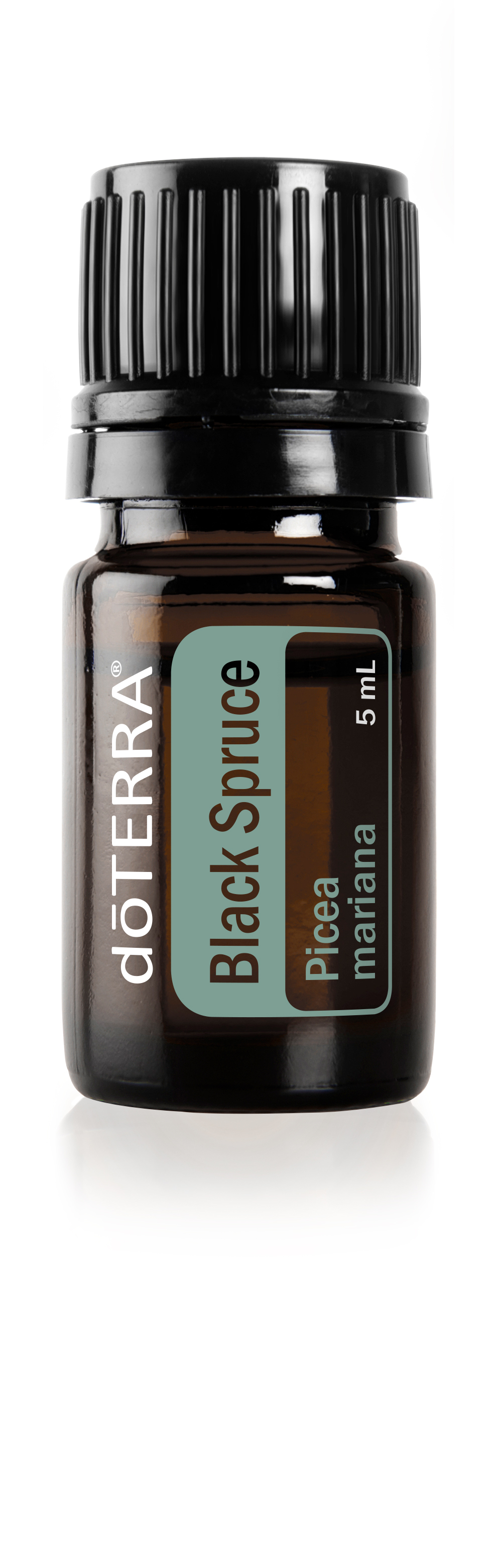 Black Spruce Oil | doTERRA Essential Oils