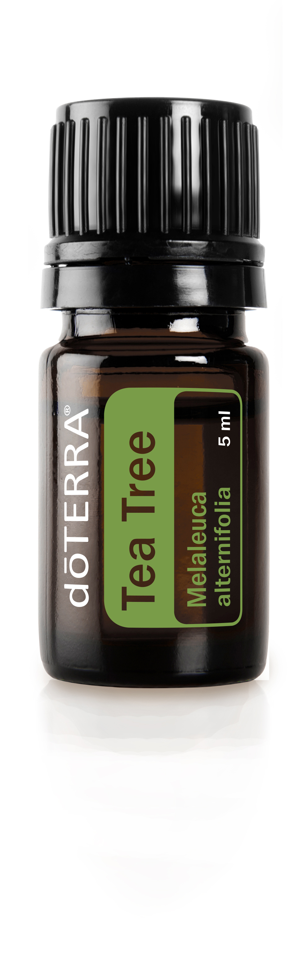 doTERRA ティーツリー 5ml - エッセンシャルオイル