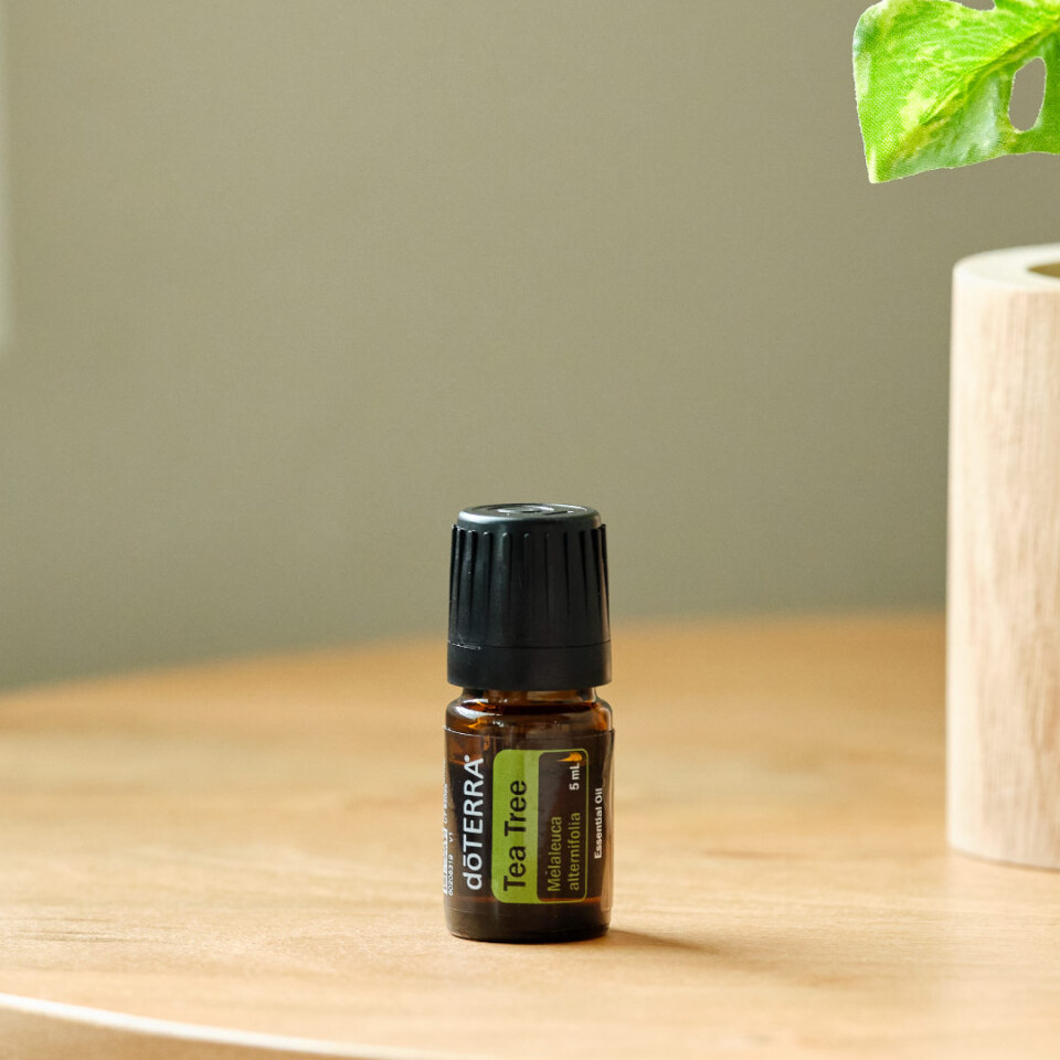 ⭐️doTERRAコンベンション2024 オイル４本セット非売品 ジャスミン doTERRA ジャスミンタッチ ドテラ 非売品 - メルカリ