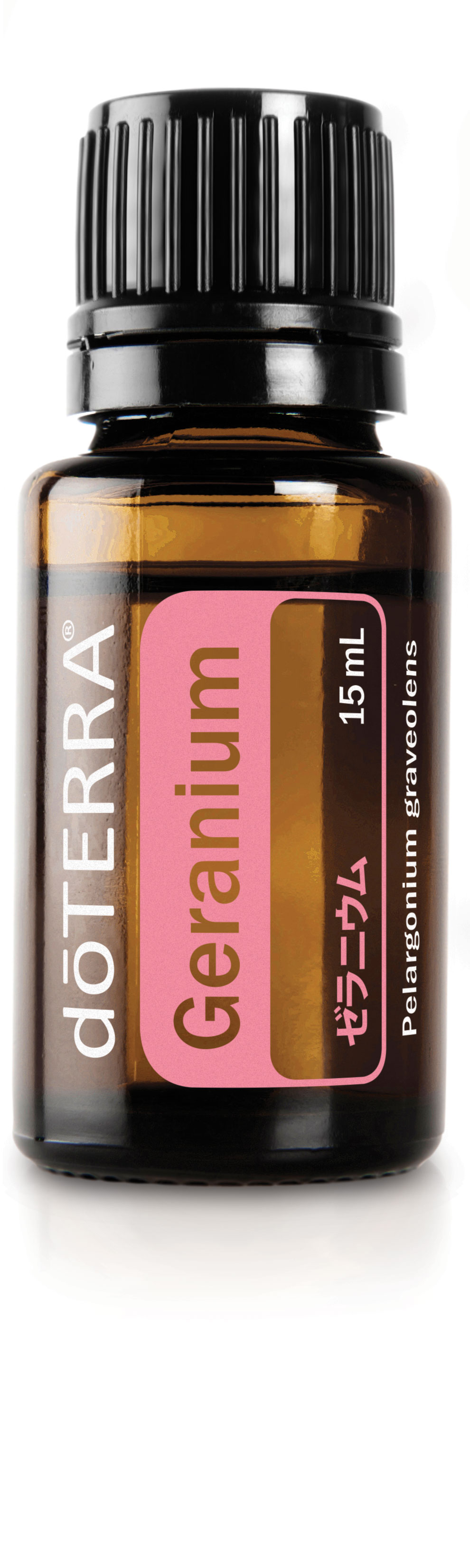 ゼラニウム | doTERRA エッセンシャルオイル | doTERRA Essential Oils