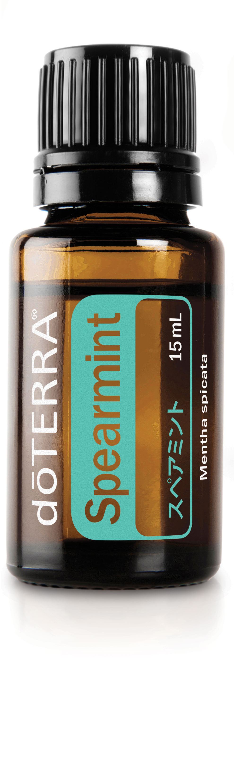 スペアミント | doTERRA エッセンシャルオイル | doTERRA Essential Oils