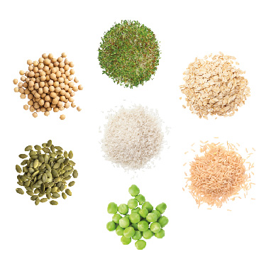 Protein Fiber & Greens