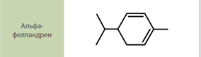 Молекула альфа-фелландрена