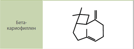 Молекула бета-кариофиллена