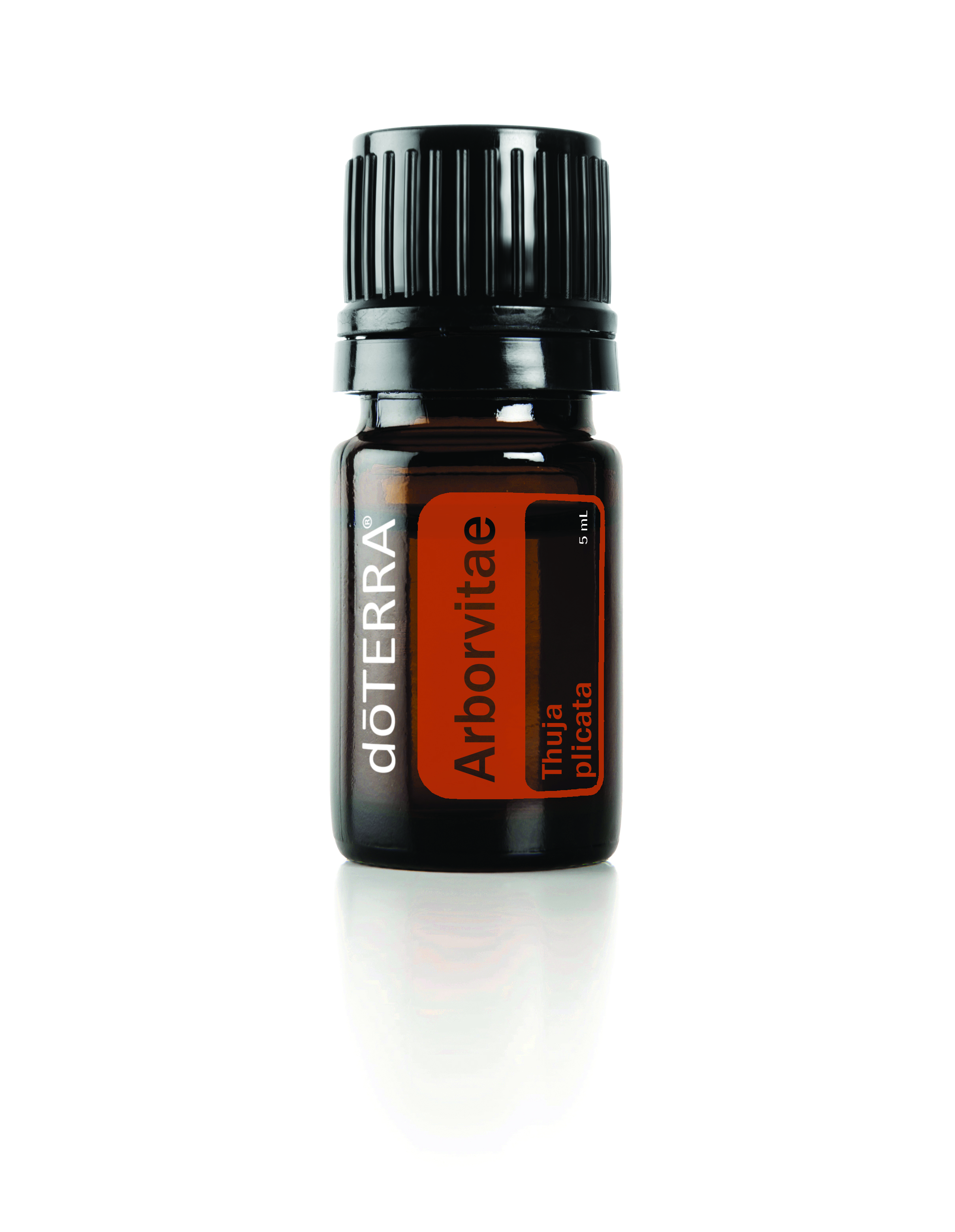 Arborvitae Oil | dōTERRA Essential Oils