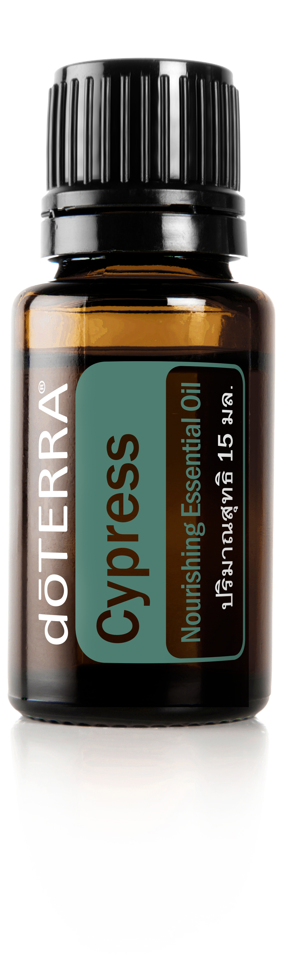 Cypress Oil | doTERRA Essential Oils