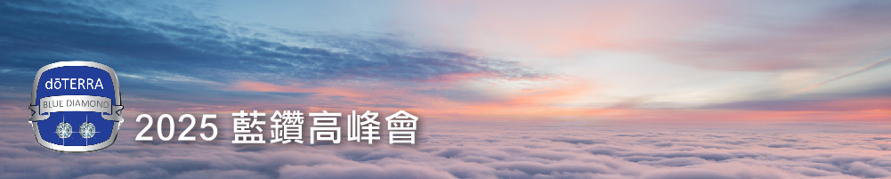 藍鑽高峰會