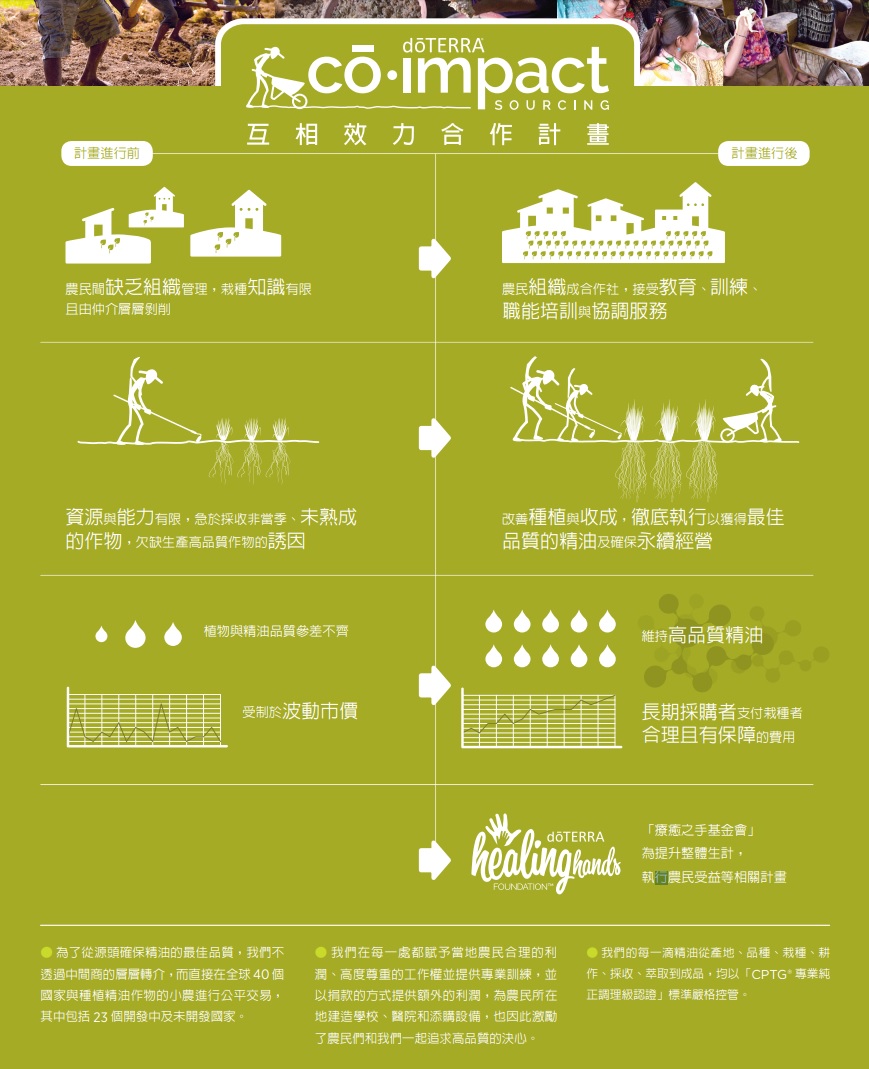 介紹 co-impact 合作效力計畫 介紹 co-impact 合作效力計畫