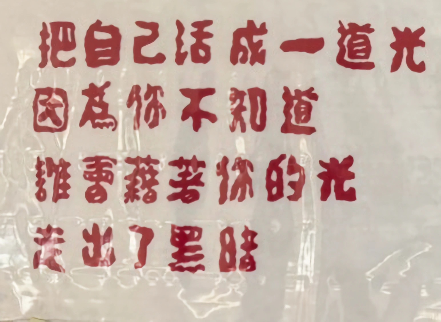 助養計畫