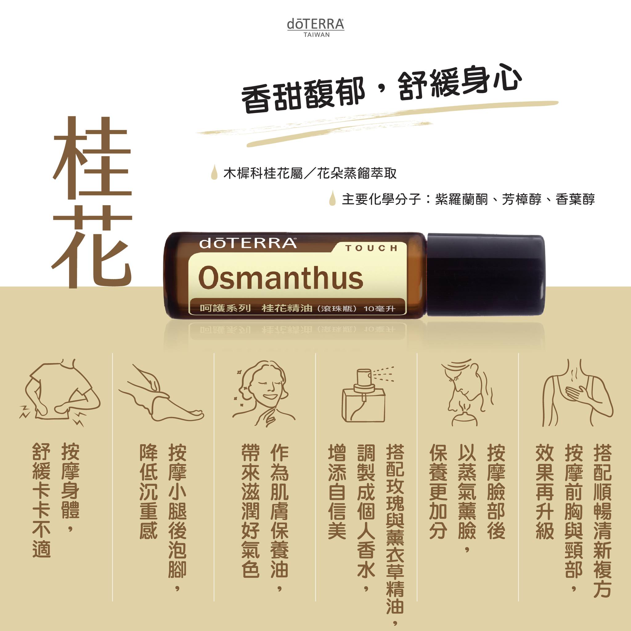 呵護系列-桂花精油