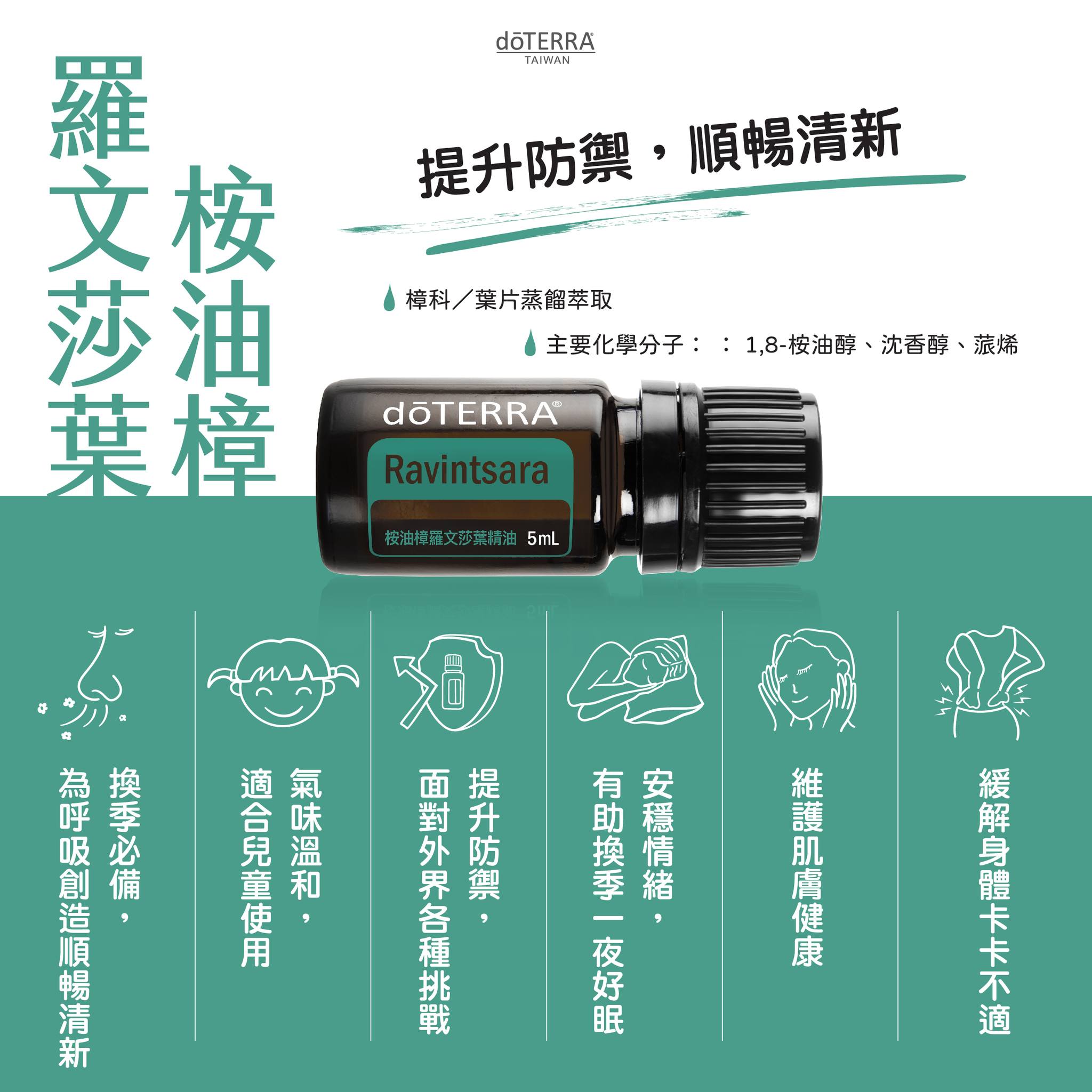桉油樟羅文莎葉精油