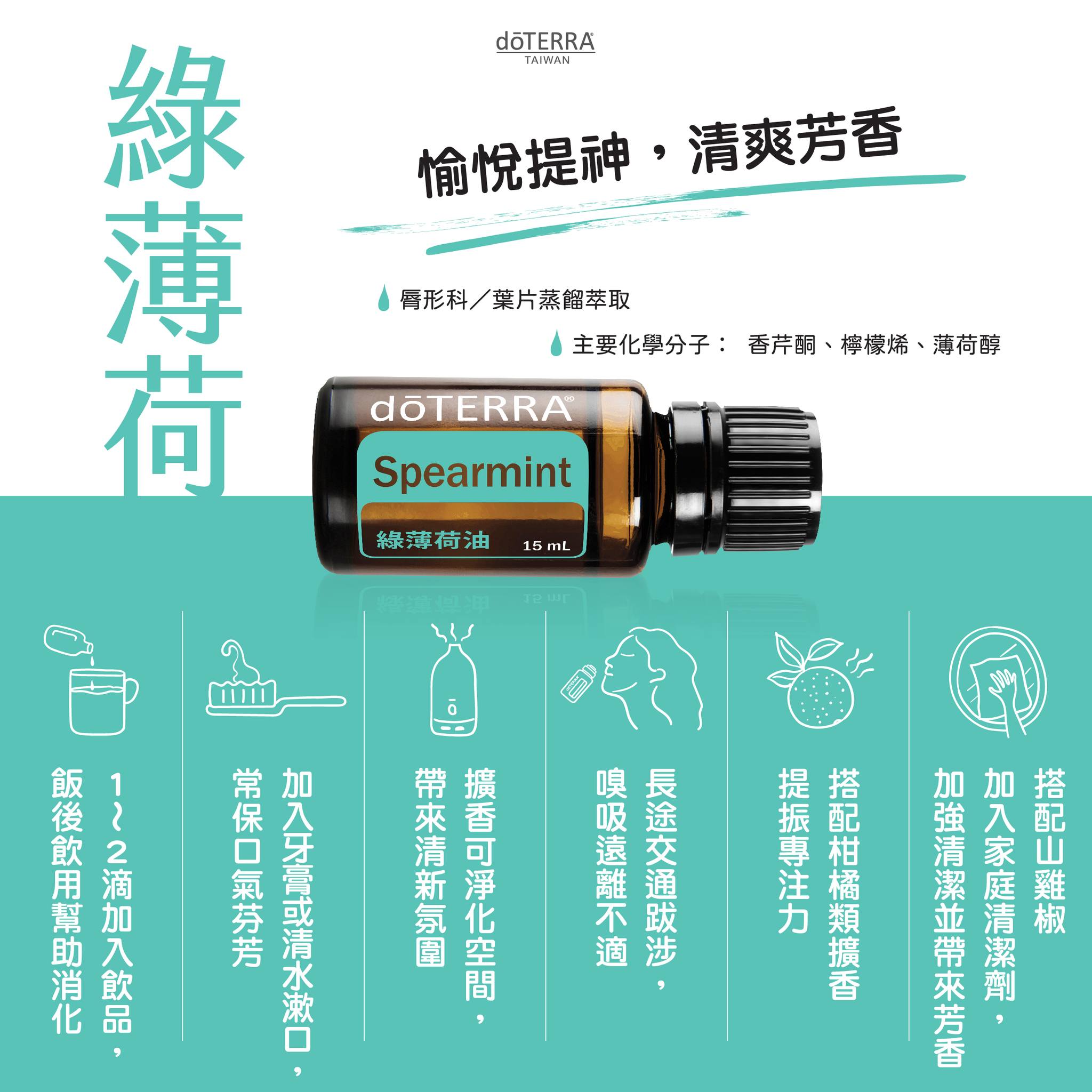 綠薄荷油