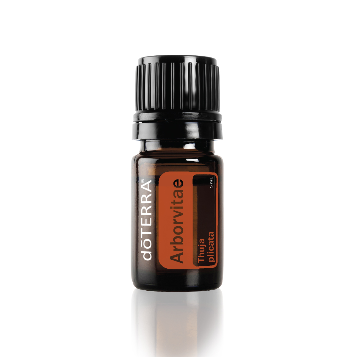 What are the benefits of Arborvitae essential oil? Arborvitae oil has benefits for the skin, body, and household cleaning