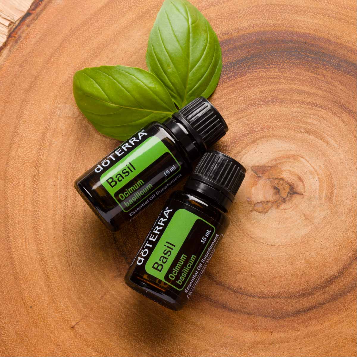 What are the benefits of Basil essential oil? Basil oil promotes focus, soothes skin, reduces anxious feelings, and adds flavor when cooking.